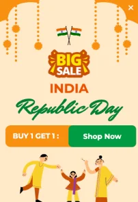 Big Sale Republic Day