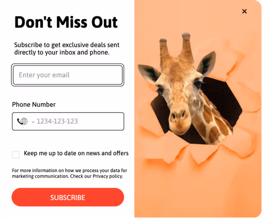 Dual Opt-in Popup Template for Collecting Email and SMS Subscribers