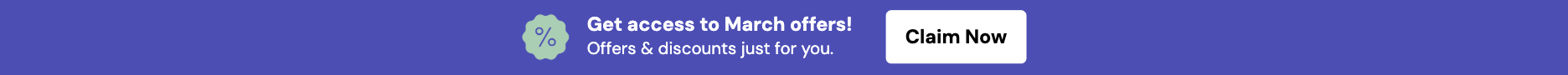 Seasonal Offer Promotion Bottom Bar Template