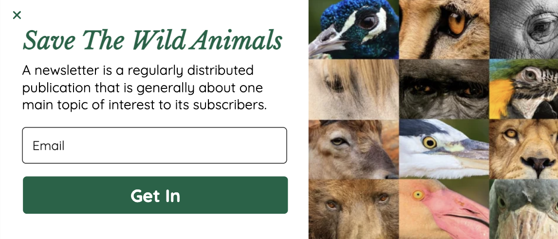 Wildlife Newsletter Popup Template to Increase Signups