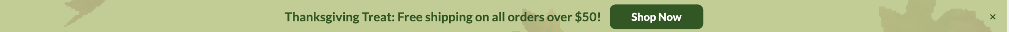 Thanksgiving Free Shipping Top Bar Template for Maximum Checkouts