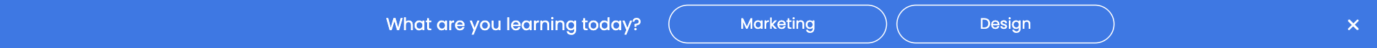 Choice Preferences Bottom Bar Template for Boosting User Engagement