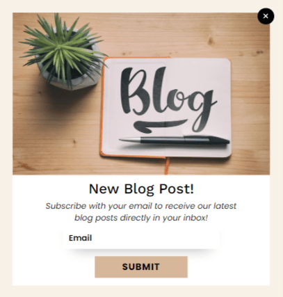Blog Posts Newsletter