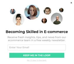 E-commerce Expert