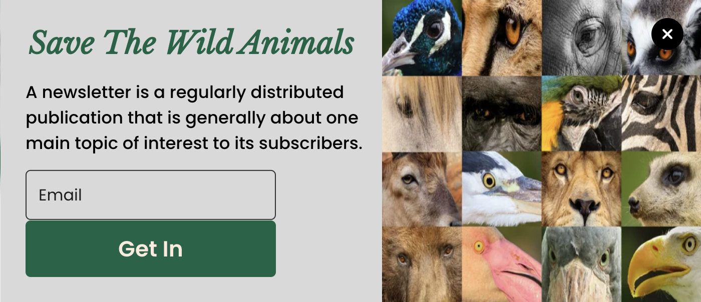 Wildlife Newsletter Popup Template to Increase Signups