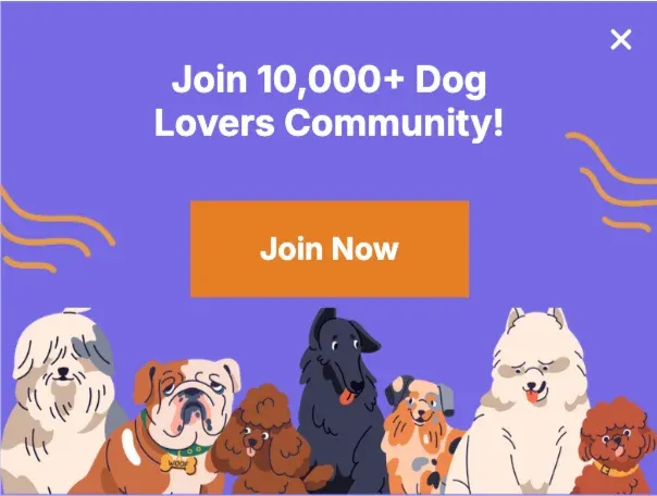 National Dog Day Sidebar Template to Promote Dog Lover Community