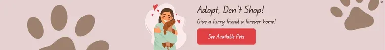 National Dog Day Bottom Bar to Promote Dog Adoption